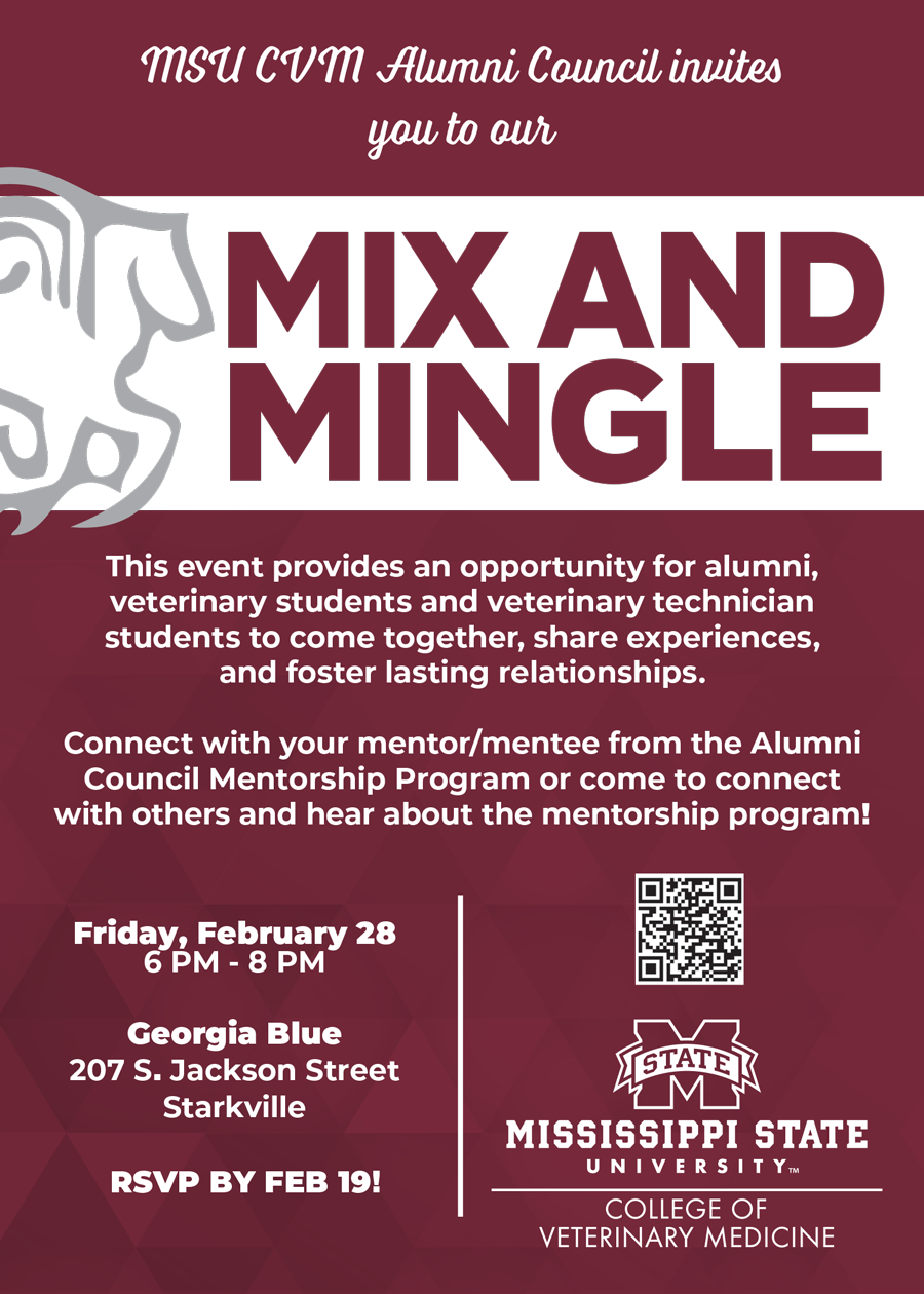 Mix and Mingle Flyer