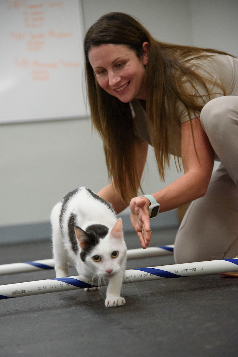 Dr. Wendy Byrd and a Cat