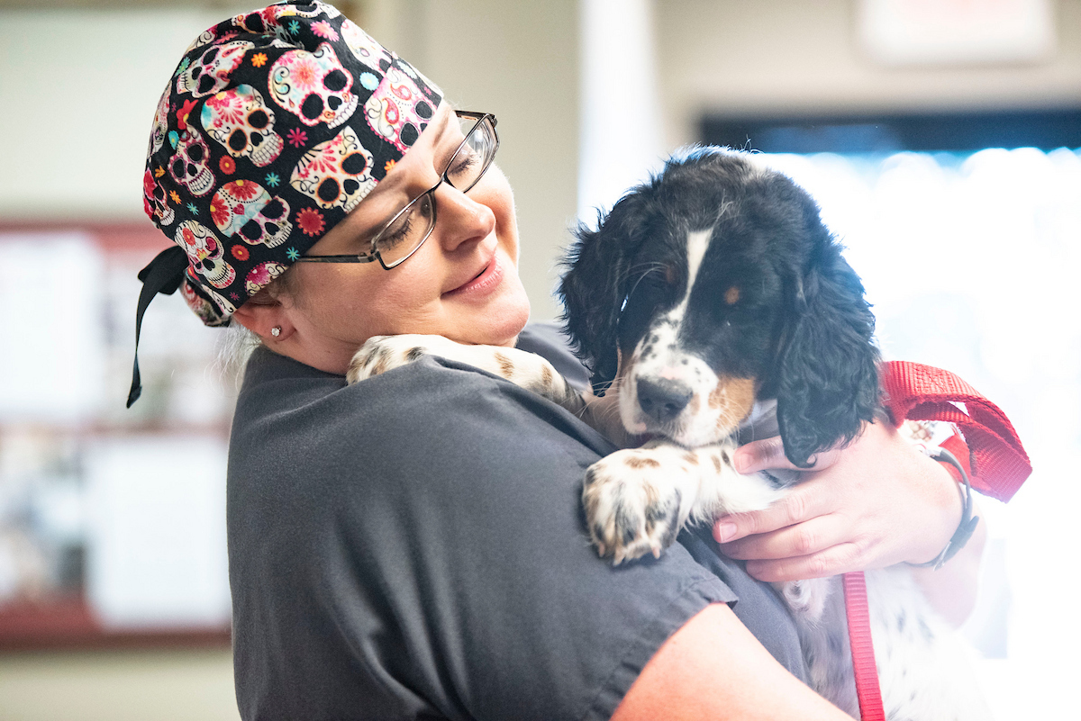 A vet holding a puppy