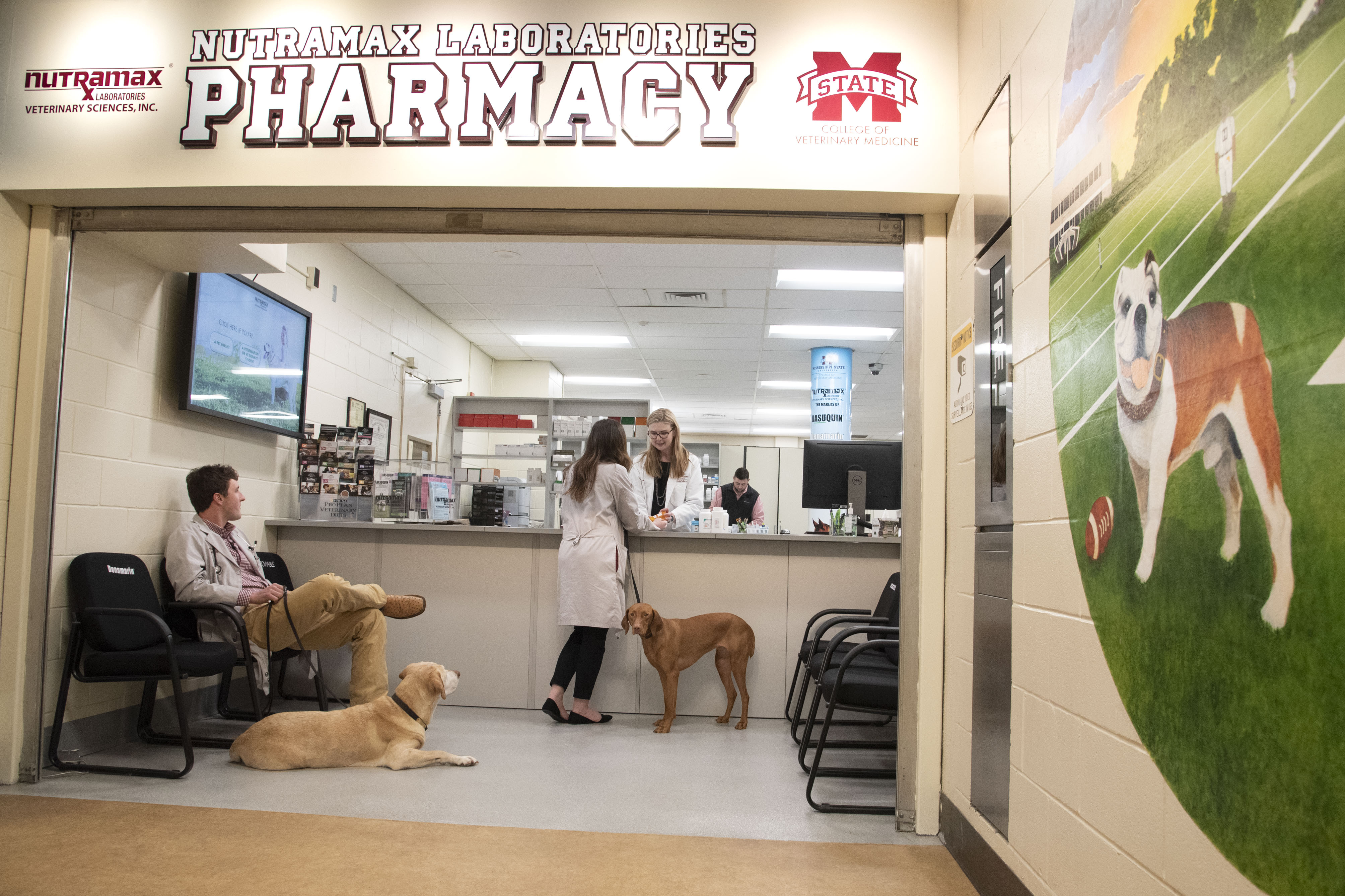 The MSU CVM Pharmacy